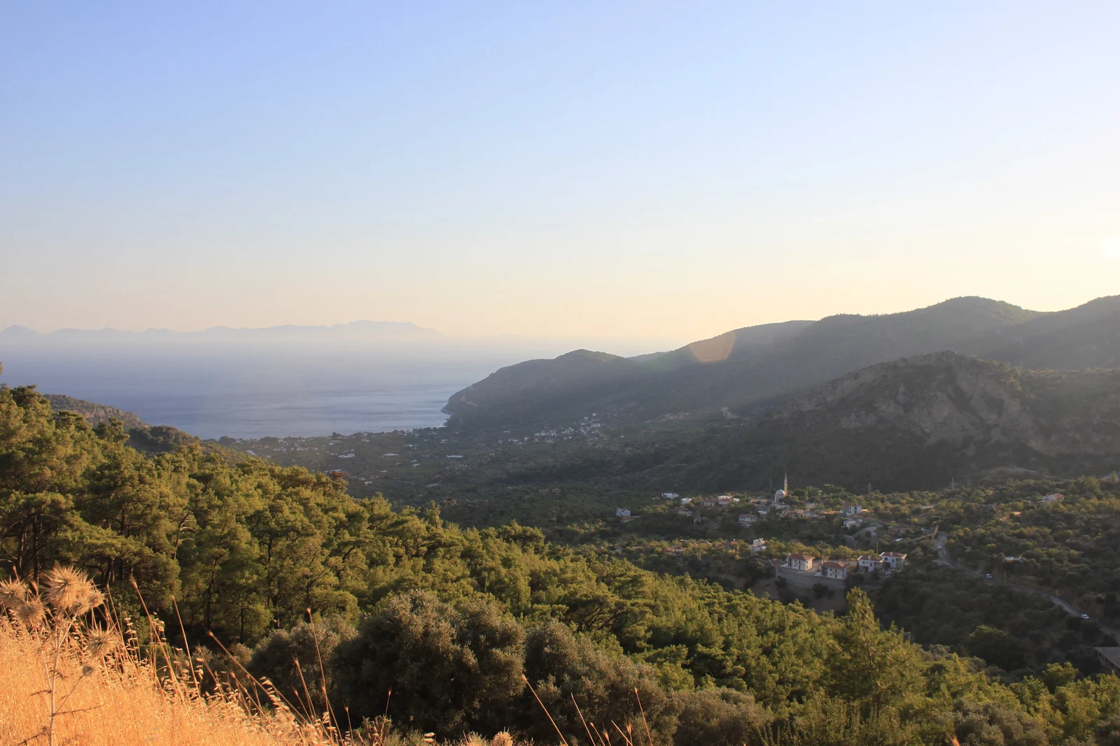 Pine-covered hills of the Datça peninsula falling to the sea near Mesudiye