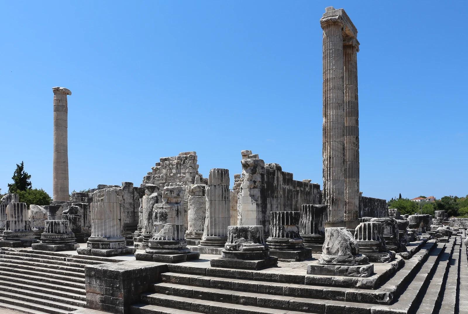The colossal columns and stepped platform of the Temple of Apollo at Didyma