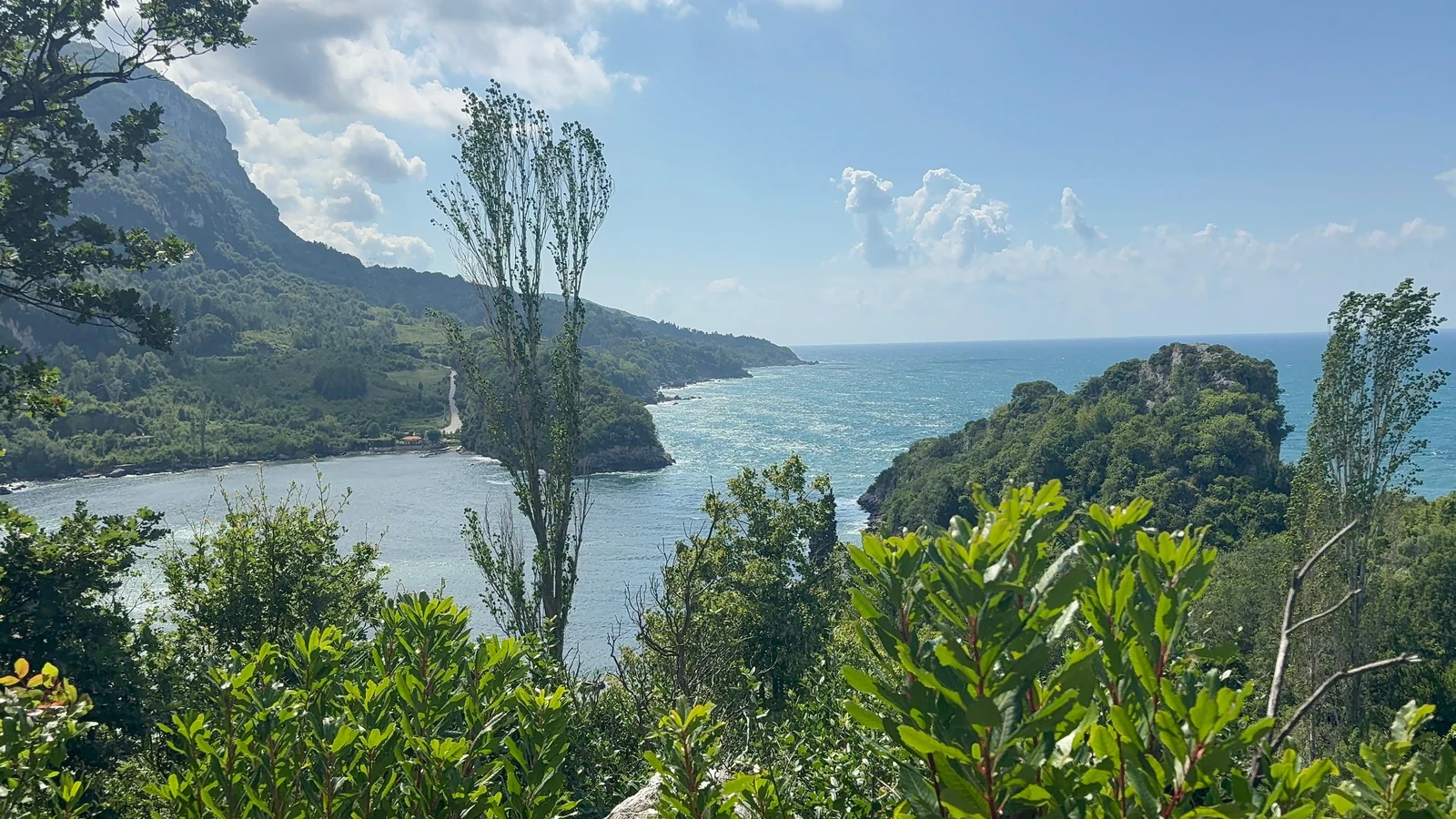 Gideros cove from the hillside: a green bay enclosed by forested headlands, with the open Black Sea beyond