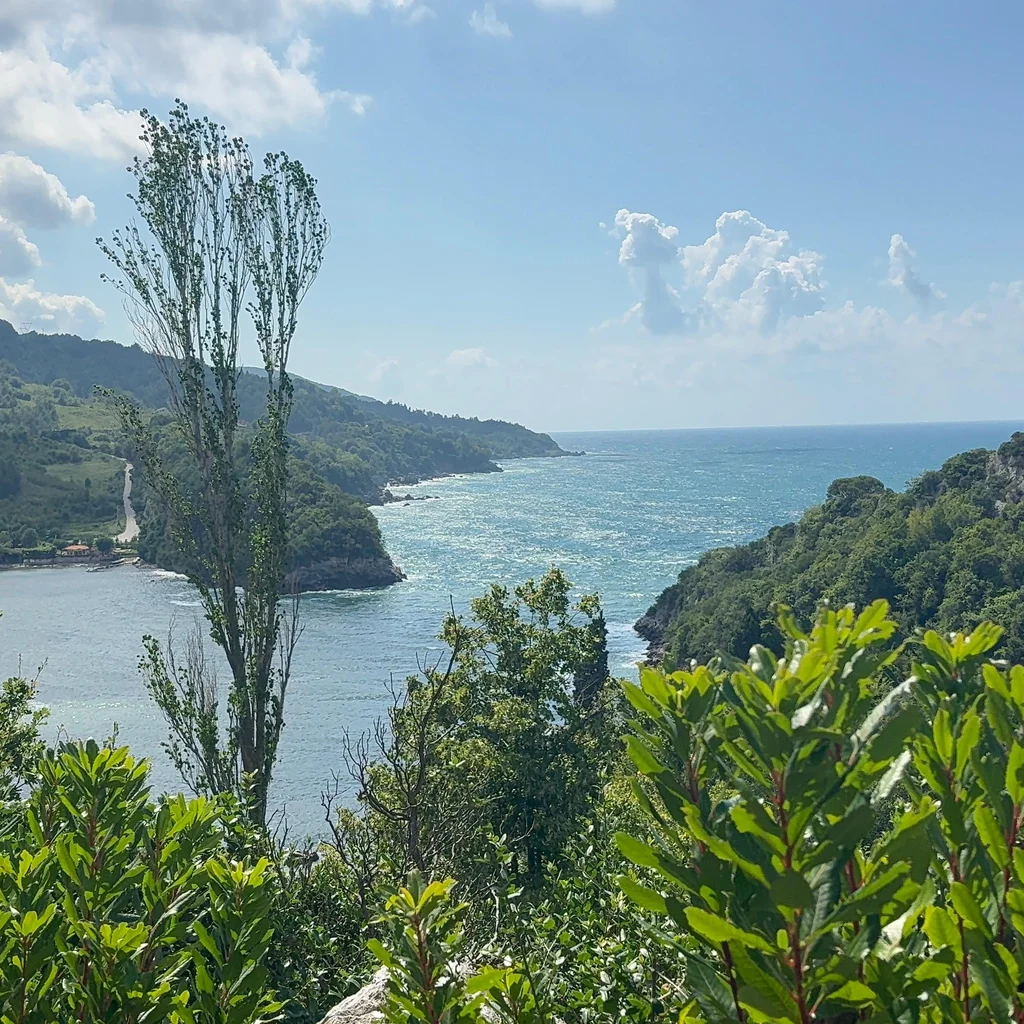 Black Sea & Kaçkar Motorcycle Route: Amasra to Yusufeli (2026)