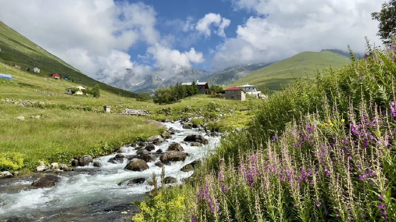 The high summer pastures of the Kaçkar Mountains above the tree line