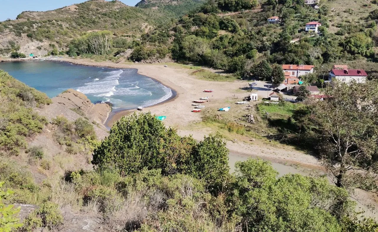 Karaman cove with forest running down to the coast road