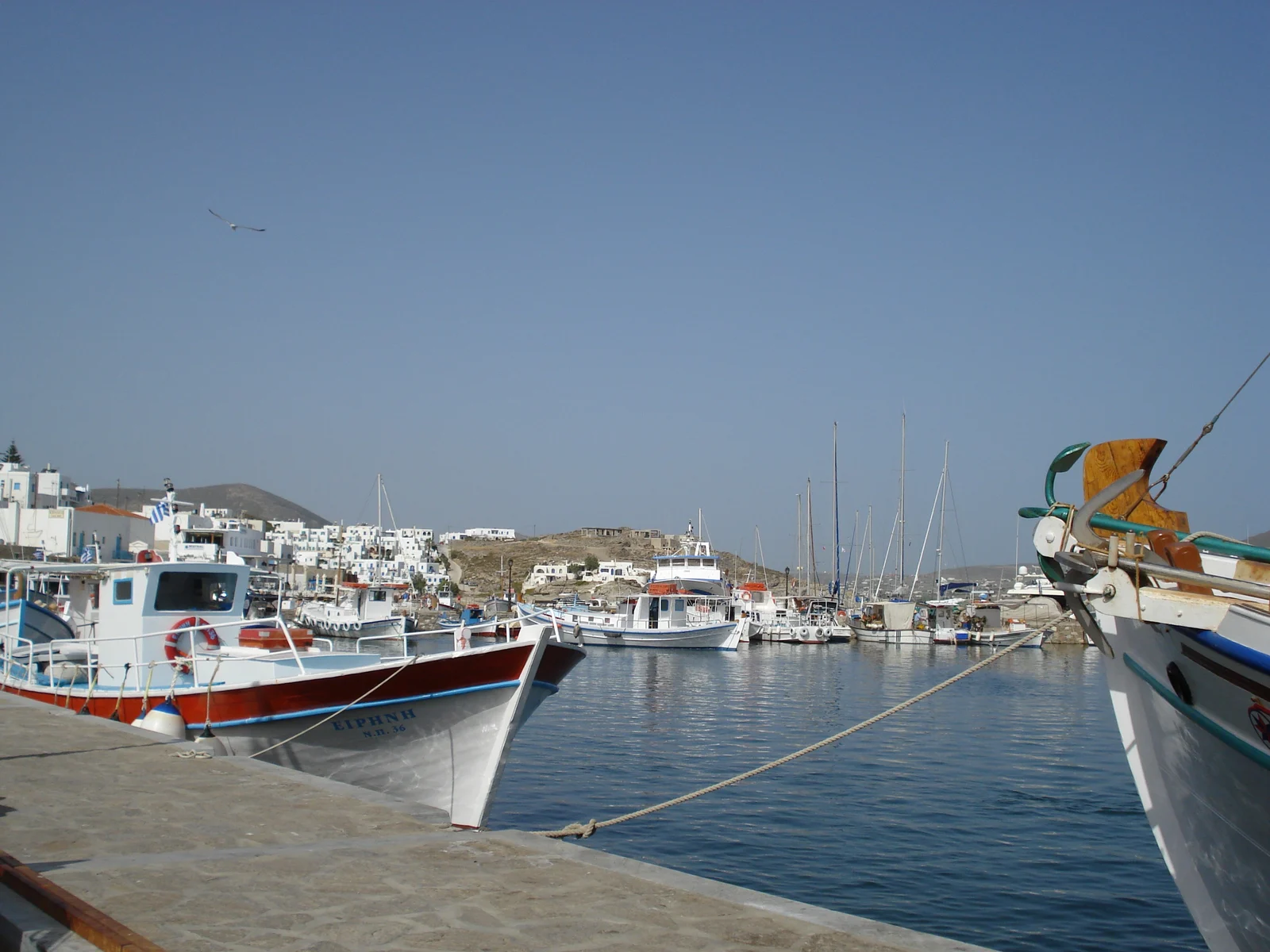 Fishing boats moored in Naoussa harbour on Paros