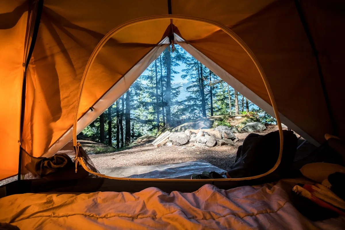 Lightweight adventure tent pitched in a pine forest campsite at dusk