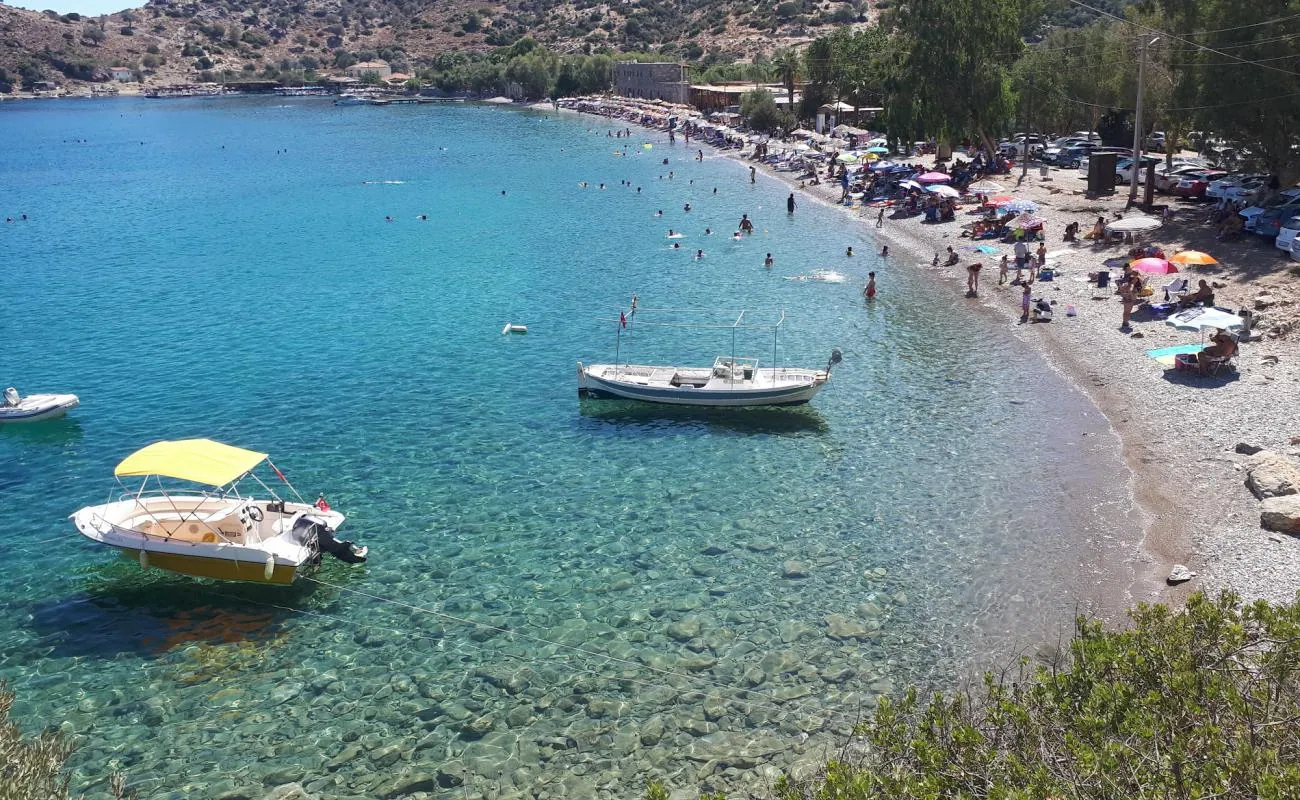 Pine-shaded pebble cove of Kargı Koyu on the Datça peninsula